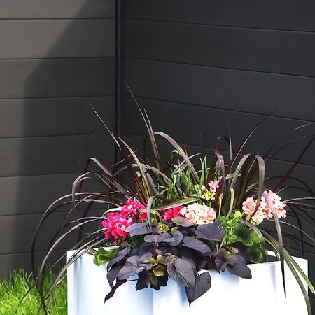 招待所 奥利维亚旅馆